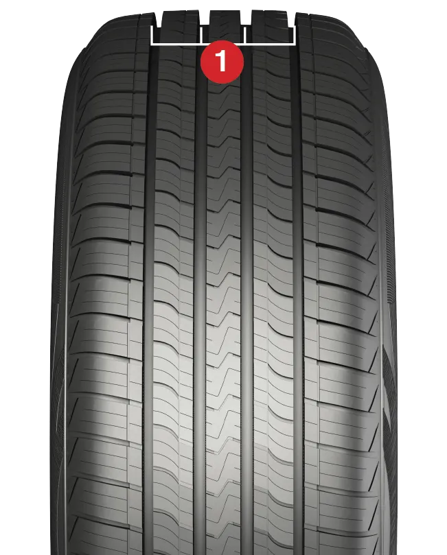 ข้อมูลทั่วไป