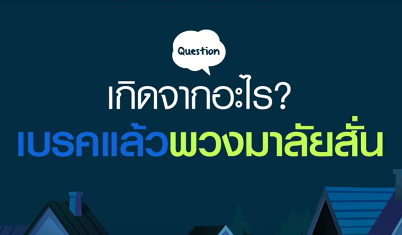 รูปภาพวิดีโอความรู้