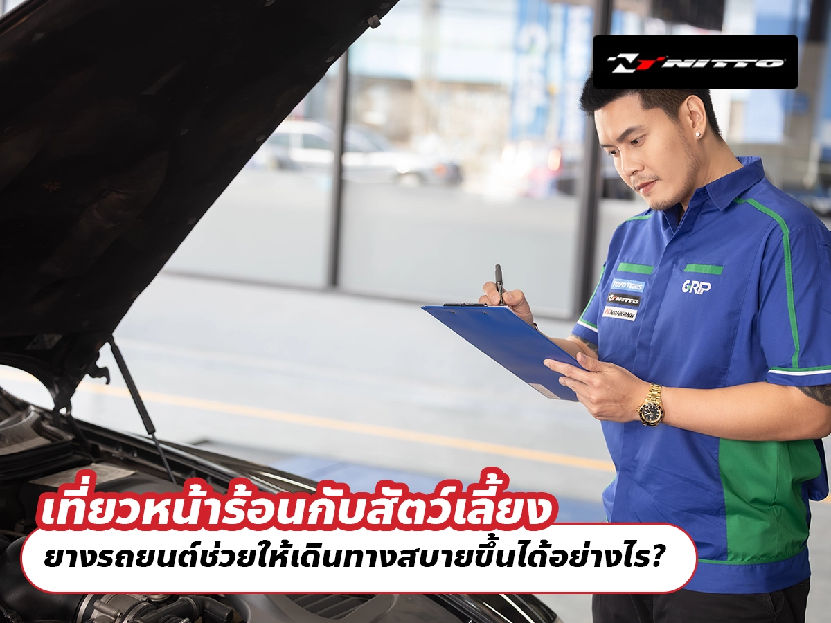 เที่ยวหน้าร้อนกับสัตว์เลี้ยง ยางรถยนต์ช่วยให้เดินทางสบายขึ้นได้อย่างไร?